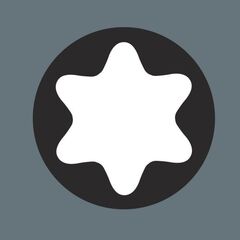  Serie Einsteckwerkzeuge 7776 Einsteckwerkzeug Außen-TORX, TX 14 x 45 mm 12455451