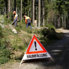 Anreissstöcke NESTLE Anreißmeterstock 100 cm, Holz, mit zwei Spitzen 12385802