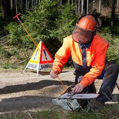  Ablängstäbe NESTLE Ablängstab KOLIBRI 50 cm, zur Ablängung mit Motorsäge 12385798