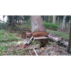  Fällkeil NESTLE Fällkeil hydraulisch - Arnold-S 12385804