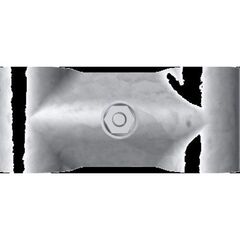  Mobilzaunzubehör Schake Sicherheits-Verbindungsschelle, 5,0 mm Blechstärke 12450383