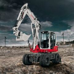  Mobilbagger Takeuchi  TB 295 W-2 Mobilbagger 12462913
