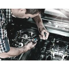  Zyklop Knarren Zubehör, 1/2" 8767 C TORX HF 2 Zyklop Bitnuss-Satz TORX, mit Haltefunktion, 6-teilig 12453412