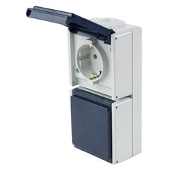  Aufputz-Schalter und Steckdosen as-Schwabe Steckdose 2-fach, 2 Leitungseinführungen, IP 54, senkrecht 12362567