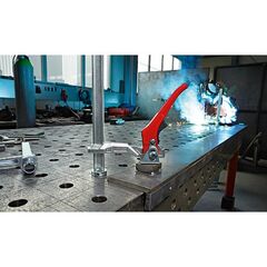  Spannelement mit fixer Ausladung TW BESSEY Spannelement mit fixer Ausladung TW28 300/140 (Knebelgriff) 12368062