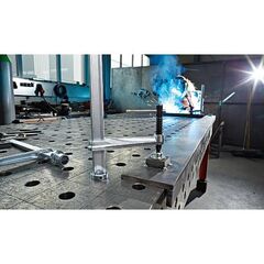  Spannelement mit fixer Ausladung TW BESSEY Spannelement mit fixer Ausladung TW28 300/140 (Knebelgriff) 12368062