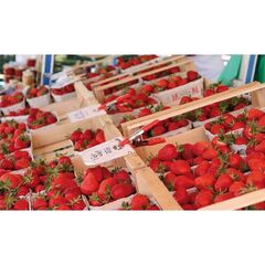  Federzwinge XM BESSEY Federzwinge XM 25/32 12368213