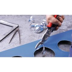  Figuren-Schere D16L BESSEY Figuren-Schere D16L 12368348