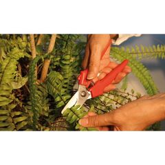  Combi-Schere gerade D47/D48 BESSEY Combi-Schere gerade D47 12368437