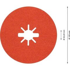  EXPERT R782 Prisma Ceramic X-LOCK Fiberscheiben Bosch EXPERT R782 Prisma Ceramic X-LOCK Fiberscheibe, 125 mm, 22,23 mm, G 60, für kleine Winkelschleifer 12375803