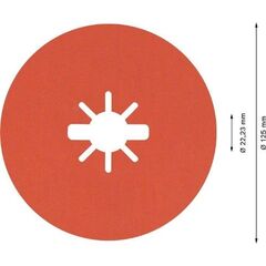 EXPERT R782 Prisma Ceramic X-LOCK Fiberscheiben Bosch EXPERT R782 Prisma Ceramic X-LOCK Fiberscheibe, 125 mm, 22,23 mm, G 120, für kleine Winkelschleifer 12375794