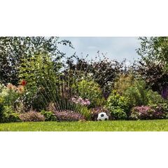  Akku-Regenwasserpumpen Bosch Akku-Regenwasserpumpen GardenPump 18V-2000: Akku 18V 2.5Ah, Ladegerät AL 1810 CV 12377565