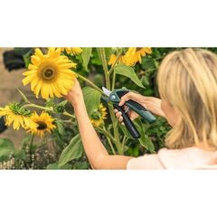  Gartensägen/-scheren Bosch Akku-Gartenschere EasyPrune 12377608