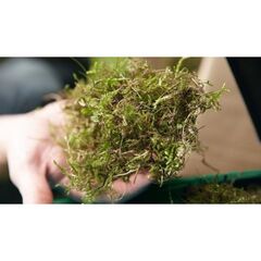  Rasenlüfter Bosch Rasenlüfter UniversalRake 900 12377842