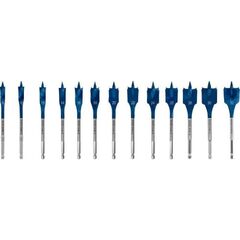  EXPERT SelfCut Speed Flachfräsbohrer-Sets Bosch EXPERT SelfCut Speed Flachfräsbohrer-Set, 10/12/13/14/16/18/20/22/24/25/28/30/32 mm, 13-tlg., für Bohrmaschinen 12370673