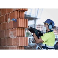  EXPERT ‘Hollow Brick’ S 2243 HM Säbelsägeblätter Bosch EXPERT ‘Hollow Brick’ S 2243 HM Säbelsägeblatt, 1 Stück, für Säbelsägen 12373915