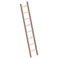  Layher Steigtechnik Leitern Verbundanlegeleiter 8 Sprossen, Holz-Aluminium-Anlegeleiter, Länge 2.40 m 12405397