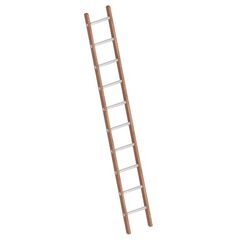  Leitern Verbundanlegeleiter 10 Sprossen, Holz-Aluminium-Anlegeleiter, Länge 2.95 m 12405394