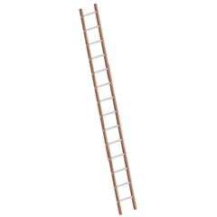  Leitern Verbundanlegeleiter 14 Sprossen, Holz-Aluminium-Anlegeleiter, Länge 4.05 m 12405466