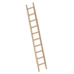  Layher Steigtechnik Leitern Bau-Anlegeleiter aus stabilem Fichtenholz mit 10 Sprossen; Länge 3.0 m 12405393