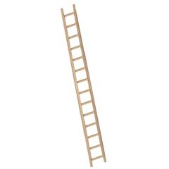  Layher Steigtechnik Leitern Bau-Anlegeleiter aus stabilem Fichtenholz mit 14 Sprossen; Länge 4.0 m 12405410