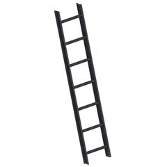  Layher Steigtechnik Leitern Dachleiter TOPIC 7 Sprossen in Anthrazitgrau RAL 7016; gem. DIN 18160-5; Länge 1.96 m 12405423