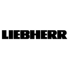  Mobilbagger Liebherr A 913 Compact Litronic 12463004