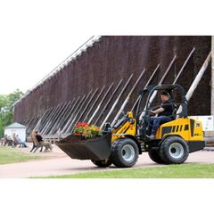  Schäffer Radlader Schäffer Elektro-Lader 24e 12464274