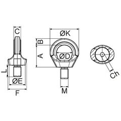  Ringschrauben Ringschrauben, variabel, ohne Schlüssel CARTEC® Ringschraube (drehbar), GK6, Edelstahl, M12, 500 kg(90°)/1200 kg(0°) 12403010