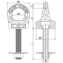 Ringschrauben, variabel, für Absturzsicherung (PSA) nach EN 795 CARTEC® Ringschraube für Absturzsicherung nach EN 795, drehbar, GK10, M12, für 1 Person 12403117