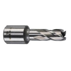  HSS Annular Cutters Milwaukee HSS Kernlochbohrer, kurz 12 x 30 mm 12441363