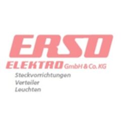  Neutral Schuko-Stecker Typ VSB 2212 | Zuverlässige Verbindung 12463276