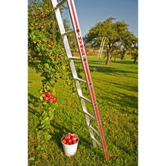  Leitern für spezielle Anwendungen Hymer Obstbaumleiter, 14 Sprossen, Länge 4,16 m 12378317