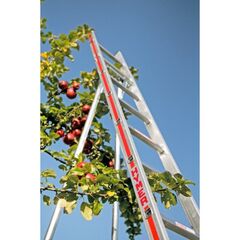  Leitern für spezielle Anwendungen Hymer Obstbaumleiter, 14 Sprossen, Länge 4,16 m 12378317