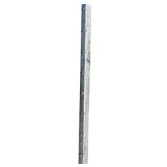  für DSM Höhe 630 mm Gabionenpfosten 120/40/3 FVZ inkl. Flacheisen 1100 mm 12463954