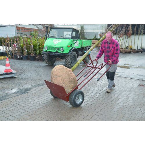  Transport- und Sackkarren müba-Schwerlast-Sackkarre, mit Kugellagerbereifung Ø 400 x 170 mm 12444430