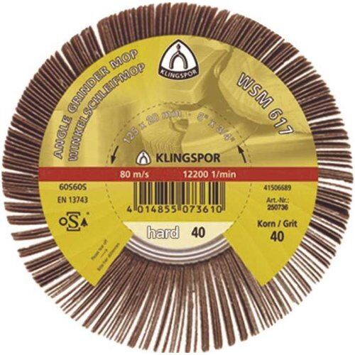  KLINGSPOR Schleifmoprad WSM 617 für Stahl, Edelstahl, Farbe, Kunststoff, Holz WSM 617 Schleifmopräder 125 x 20 mm Korn 80 Gewinde M 14 12459864