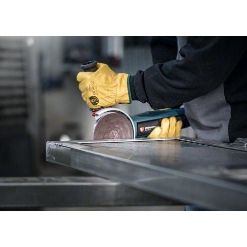  EXPERT N880 Vliesscheiben für Exzenterschleifer Bosch EXPERT N880 Vliesscheibe für Exzenterschleifer, 125 mm, Mehrzweck XS, für Exzenterschleifer 12376230