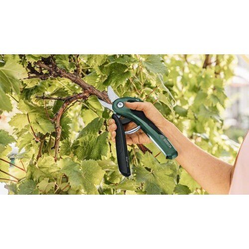  Gartensägen/-scheren Bosch Akku-Gartenschere EasyPrune 12377608