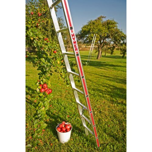  Leitern für spezielle Anwendungen Hymer Obstbaumleiter, 12 Sprossen, Länge 3,60 m 12378337