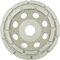  KLINGSPOR Diamantschleifscheibe DS 300 B DS 300 B Diamantschleifscheiben 125 x 7 x 22,23 mm 20 Segmente 7 x 5,5 mm Segmentiert 12457949