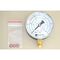  Radtke CCM-Set ECO HEYLO mechanisches Ersatz-Manometer CCM-Set inkl. Dichtungssatz für CCM-Set 12404750