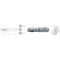 HSS Co8 - Typ N ELMAG HSS Co8-Schaftfräser DIN 844 Ø 35,0mm (kurz) 12415456