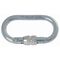  mit Schraubsicherung Artex Stahl-Oval-Schraubkarabiner Typ AX OS 12361594