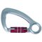  mit Trilock Artex Alu-Trilockkarabiner Typ AXS 10 TR 12361583