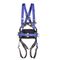  EN 361 / EN 358 AX 60 / AX 60 S / AX 60 CS Artex Auffang- / Haltegurt AX 60 CS m. Steigschutzöse u. Clickverschluss 12361647