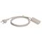  Verlängerung PVC 230V as-Schwabe Euro-Verlängerung 2m, H03VVH2-F 2×0,75, weiß, IP20 12361985