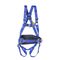  Benutzer bis 140 kg AX 62 / AX 62 C Artex Auffang- / Haltegurt AX 62 C m. Clickverschluss 12361659