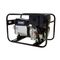   7000 - Best-Seller ELMAG Stromerzeuger SED 7000WDE-AVR m. HATZ-Motor 1B40 m. E-Start u. AVR-Regelung 12423878