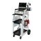  optionales Zubehör ELMAG Fahrwagen XL ND z.DIAGCHARGER 100.12 HF GYSFLASH 30/40/50/100 HF & GYSFLASH vertikal Bauweise (028890) 12408260